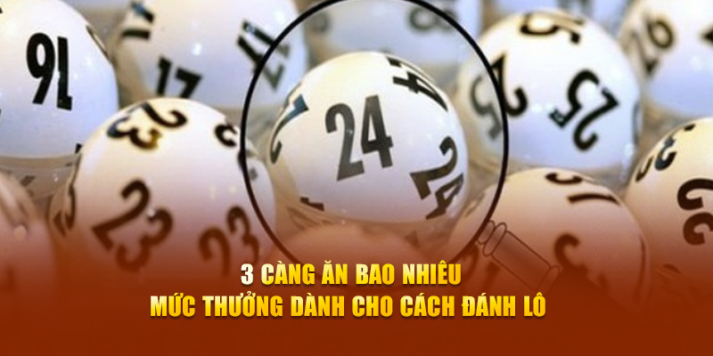 3 Càng Ăn Bao Nhiêu - Mức Thưởng Dành Cho Cách Đánh Lô 