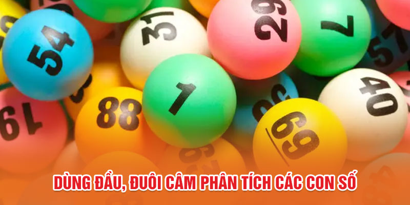 Dùng đầu, đuôi câm phân tích các con số