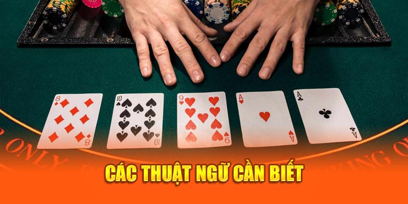 Các thuật ngữ cần biết