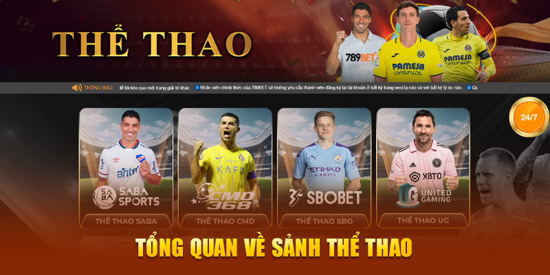 Tổng quan về sảnh thể thao