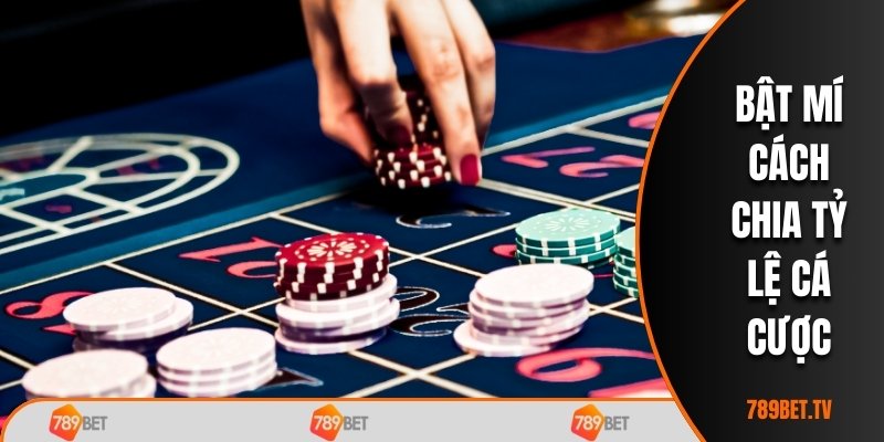 Bật mí cách chia tỷ lệ cá cược